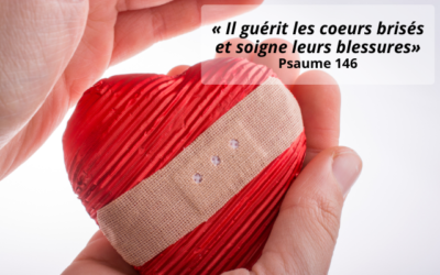 Prière et soutien aux victimes et à leurs proches